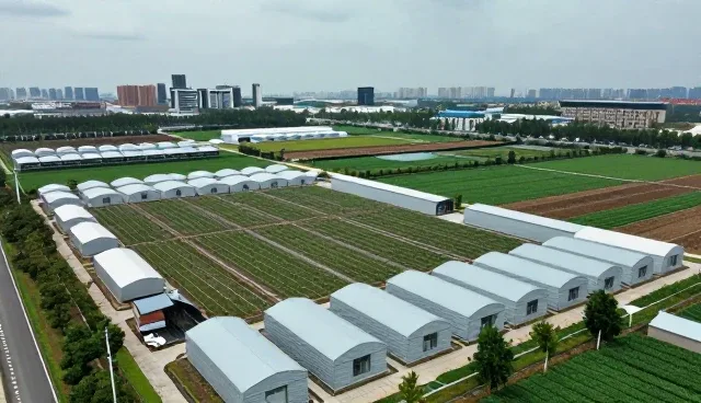 技术转化在运维服务中的实际应用与挑战